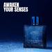 Verse Adonis Fresh Cologne for Men Natural Spray Perfume Classic Scent Eau De Toilette for Daily Use 3.4 Fluid Ounce Verse Adonis Fresh 3.4 Fl Oz (Pack of 1) - Buy Online on GoSupps.com