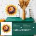 Zerodeko Sunflower Wall Decoration Hanging Wall Art Home Decor Flower Wall Art Wall Decorations Kitchen Decorations Wall Flower Decor Hanging Decor 3d Decorative Wall Outdoor Iron - Buy Online on GoSupps.com