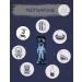 HECKBO Astronaut Kids Car Seat Belt Pads - 2x Seat Belt Protectors for Kids and Babies - Buy Online on GoSupps.com