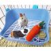Small Animal Litter Toilet Box with Grate - Potty Training for Rabbits, Guinea Pigs, Chinchillas, Ferrets & More - Blue - Buy Online on GoSupps.com