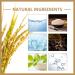 Rice toner facial water rice moisturizer for the face Feuchtigkeitsspendender rice extract toner for dry sensitive skin depth Feuchtigkeitsversorgung 150ml - Buy Online on GoSupps.com
