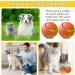 Shop Interactive Self-Strolling Dog Toy Ball - Wicked Ball with Remote Control | Intelligent Automatic Dog Toy for All Breeds - Buy Online on GoSupps.com