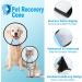 Adjustable Pet Cone for Dogs & Cats - White, Large (Neck 13.5-19.0 in) | Anti-Bite & Lick, Post-Surgery Recovery Collar - Buy Online on GoSupps.com