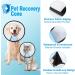 Adjustable Pet Cone for Dogs & Cats - XXL, Neck Circumference 48-52cm, White | Anti-Bite Lick Wound Healing Recovery Collar - Buy Online on GoSupps.com