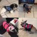 HAOCOO Dog Life Jacket Vest Swimsuit with Reflective Stripes - Pink Polka Dot XL - Buy Online on GoSupps.com
