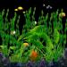 Buy Lancare 25 PCS Green Plastic Aquarium Plants - Artificial Aquatic Decoration Set for Stunning Fish Tanks - Buy Online on GoSupps.com