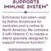 Nature's Way Echinacea & Vitamin C Immune Support 100 Capsules - Boost Your Immunity - Buy Online on GoSupps.com