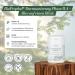 BioProphyl Intestinal Cleansing | 2-Month Treatment & Care Instructions - Shop Internationally - Buy Online on GoSupps.com