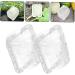 SUPVOX 2pcs Multi-use Wealth Fruits Plastic Mold Creative Transparent Adorable for Reusable Molds Wenwu - Buy Online on GoSupps.com