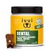 ivvi Dental - Dental Hygiene Snacks for Dogs. Mint, Parsley, Fennel, Chamomile, Coconut Oil, Brown Seaweed. 60 Snacks with Chicken. Promotes Healthy Teeth, Fresh Breath, Healthy Gums