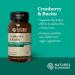 Natures Sunshine Cranberry & Buchu Concentrate 100 Capsules - Urinary Health Support - Buy Online on GoSupps.com
