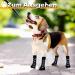 4 Pairs of Black Indoor Anti-Slip Dog Socks - Paw Protection for Home and Outdoor Use - Buy Online on GoSupps.com