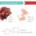 Vibrant Health Gigartina Red Marine Algae 60 Capsules - Plant-Based Immune Support (FFP) - Buy Online on GoSupps.com