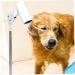 Pet Hair Dryer Holder & Stand | Universal Blow Dryer Fixator for Grooming | Hair Dryer Floor Stand - Buy Online on GoSupps.com
