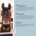 Annimally Horse Vitamin E Lysine & Selenium Powder - 2kg Refill for Muscle Support & Performance - Buy Online on GoSupps.com