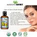 Mayan's Secret 4oz Organic Argan Oil for Hair Growth Skin Face Nails & Beard - Nourishing & Soothing Oil for Face & Body - Buy Online on GoSupps.com