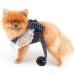 SMALLLEE_LUCKY_STORE Pet Polka Dot Princess Harness Dress and Leash for Small Dogs Cats Girls with D-ring Bow Lace Trim Female Puppy Yorkie Chihuahua Summer Clothes Blue M M blue - Buy Online on GoSupps.com