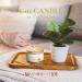 Abundance Smudge Candle | 6 Oz | All Natural Soy Wax with Lemon, Rosemary & Sandalwood Oils - Buy Online on GoSupps.com