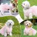 Luxury Dog Wedding Dress - Stylish Pink Puppy Skirt & Evening Dresser for Small Dogs | Perfect Summer Bowknot Outfit for Little Girls - Buy Online on GoSupps.com