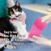 24 Pack Pink Self Adherent Cohesive Bandage Wrap 2x5 Yards - Stretch Vet Wrap for Dogs & Sports Injuries - Buy Online on GoSupps.com