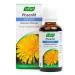 A.VOGEL - Dandelion - Food supplement for digestion - Promotes detoxification of the liver and kidneys - Improves metabolism