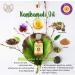Pure Kumkumadi Oil with Glass Dropper - 10ml | Achieve Radiant Skin | International Shipping Available - Buy Online on GoSupps.com
