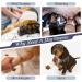 Kuoser XS Blue Dog Body After Op - Medical Pajamas for Dogs Post-Castration Wound Protection Anti-Licking Solution - Buy Online on GoSupps.com
