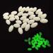 AGOOL Luminous Glow Fishing Beads - 100/200 pcs Green Glow in Dark Fish Attractants Beads Eggs Oval Plastic Egg Tool Jigs Fishing Rigging Tackle 100pcs