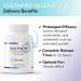 Tesseract RLA Pro SR Lipoic Acid Supplement 60 Capsules Sustained-Release R-Lipoic Acid Boosts Mitochondrial & Cellular Energy Amino Acid Metabolism Support Hypoallergenic - Buy Online on GoSupps.com