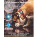 IP68 Waterproof Airtag Dog Holder - Removable Handle Compatible with Apple Airtag Keychain Pendant for Dogs - Black - Buy Online on GoSupps.com