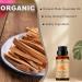 Organic Palo Santo Essential Oil 10ML - 100% Pure & Natural for Aromatherapy Diffuser | International Shipping Available - Buy Online on GoSupps.com