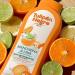 Tulipe noire Gel douche Mandarine et Citron vert 650 ml hydratation profonde avec parfum d'agrumes intense fra cheur longue dur e soin quotidien revitalisant pour tous les types de peau - Buy Online on GoSupps.com