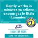 Little Remedies Gas Relief Drops - Natural Berry Flavor for Newborns | Fast Acting 1 oz (Pack of 1) - Buy Online on GoSupps.com