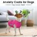 Hjumarayan Stretchy Dog Jacket - Lightweight Reflective Large Dog Coat (Red, Size L) - Buy Online on GoSupps.com