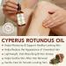 Cyperus Rotundus Oil Cyperus Rotundus Oil for Hair Removal - Natural & Gentle Oil for Reducing Body Hair Growth Moisturizes & Soothes - Suitable for All Skin Types - Buy Online on GoSupps.com