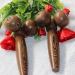Wooden Face Massager Handheld Body Calf Massager Roller Massager Beauty Tool for V Kneading - Buy Online on GoSupps.com