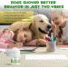 Calming Dog Diffuser | Pheromone Starter Kit for Anxiety Relief | Pet Supplies for Anxious Dogs | UK Plug | 48ml - Buy Online on GoSupps.com