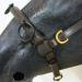 Buy PS Horse French Cavesson Cavecon with D-Rings - Soft Full Brown with Gold Fittings | International Shipping Available - Buy Online on GoSupps.com