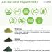 Teami Greens Superfood Powder - Immune Support & Super Green Veggie Ingredients - Buy Online on GoSupps.com