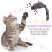 Fuyamp 2 Packs Door Hanging Cat Toy Interactive Cat Toy Mice Cat Toy Chasing Exercise Entertain Toy Hanging Door Cat Toy Mouse Teaser Toys for Indoor Cat Kitten - Buy Online on GoSupps.com
