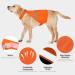 Reflective Dog Vest | High Visibility Safety Vest for Dogs | Outdoor Activity & Training Jacket for Small, Medium, Large Dogs - Buy Online on GoSupps.com