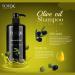 TOTEX Shampoing l'Huile d'Olive 750ml | R paration des Cheveux Secs et Ab m s | Formule Anti-Pelliculaire et Soulagement des D mangeaisons | Adapt aux Hommes et aux Femmes - Buy Online on GoSupps.com