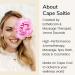 Cape Saltie Massage Beauty Flowerfruit Vegan Oil Lip Balm in "Peppermint Tea" Peppermint Earl Grey (0.85 oz Jumbo Size Clear Balm) | Nourish Hydrate Moisturize | Infused with Natural Fruit Oil - Buy Online on GoSupps.com