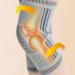 Winter Warm Self-Heating Knee Brace | Graphene Fiber Knee Sleeve for Sizes 6-10 - Buy Online on GoSupps.com