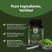 Pure Green Coffee Bean Extract 800mg for Weight Loss & Energy | Natural Appetite Suppressant with Chlorogenic Acid - 60 Capsules - Buy Online on GoSupps.com