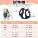 Slowton Dog Harness for Small & Medium Dogs | No Pull Safety & Soft Padded Breathable Blue Harness - Buy Online on GoSupps.com
