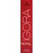Schwarzkopf IGORA Royal Premium Hair Color 12-1 Special Blonde Cendr 60g | International Shipping Available - Buy Online on GoSupps.com