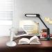 Lightweight Magnifying Glass Desktop 3X Zoom Magnifier with 2 Led Lights Rotating 360 Degrees with L Bracket Used for Reading Crafts Watch Repair/2Cps Lofty Ambition - Buy Online on GoSupps.com