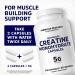 Creatine Monohydrate Capsules 5G | 60 Servings | Vegan | 4 Caps per Serving | Micronized Creatine Pills 5000mg | 240 Capsules | Creatine Pills For Men & Women | 2 Months Supply | Made Without Fillers - Buy Online on GoSupps.com