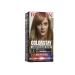 Revlon Colorstay Longwear Permanent Cream Colour Dark Golden Blonde 7.3 Dark Golden Blonde 165 ml (Pack of 1)
